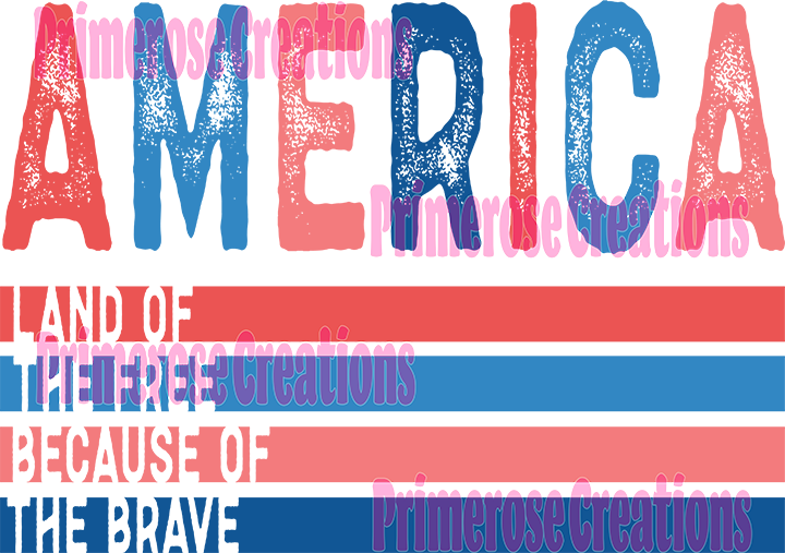 America Flag