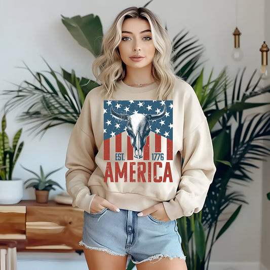 America - DTF TRANSFER