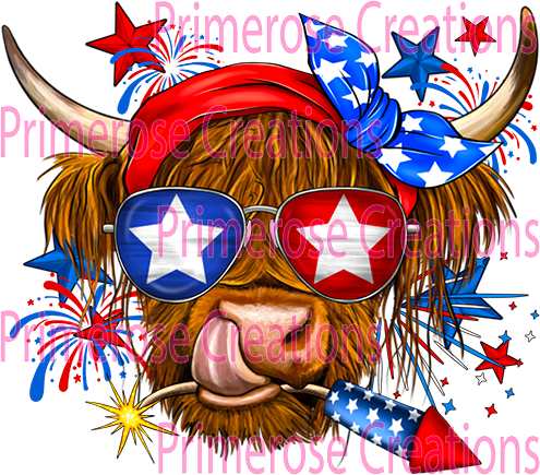 Highland Cow and Fireworks