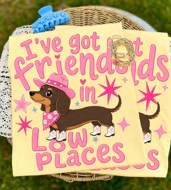 Friends In Low Places - Full Color - DTF Transfer - Grab It Tuesday