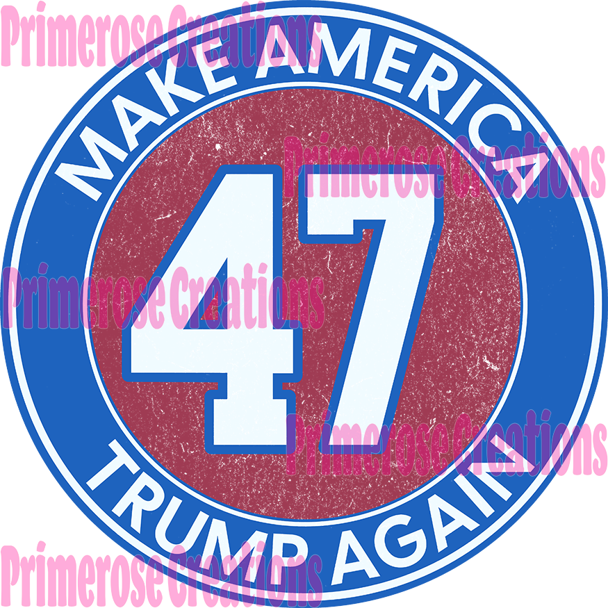47 Back With Pocket