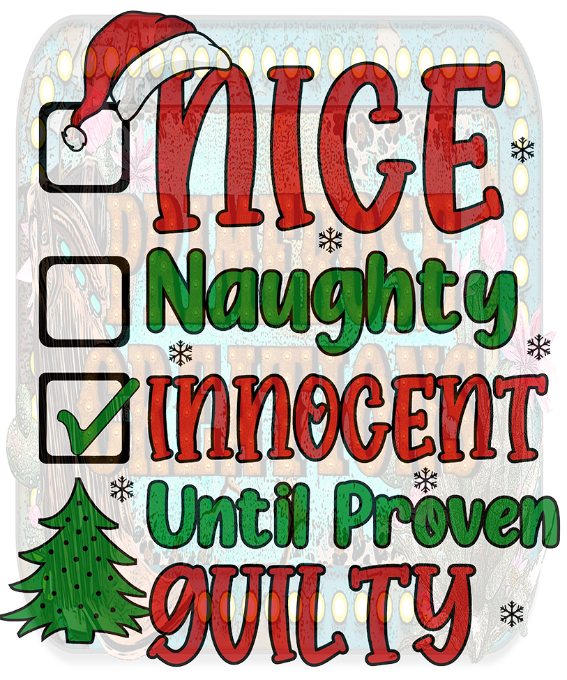 Nice, Naughty. Innocent until proven guilty (youth)-Full Color-DTF TRANSFER- 2-5 Business Days