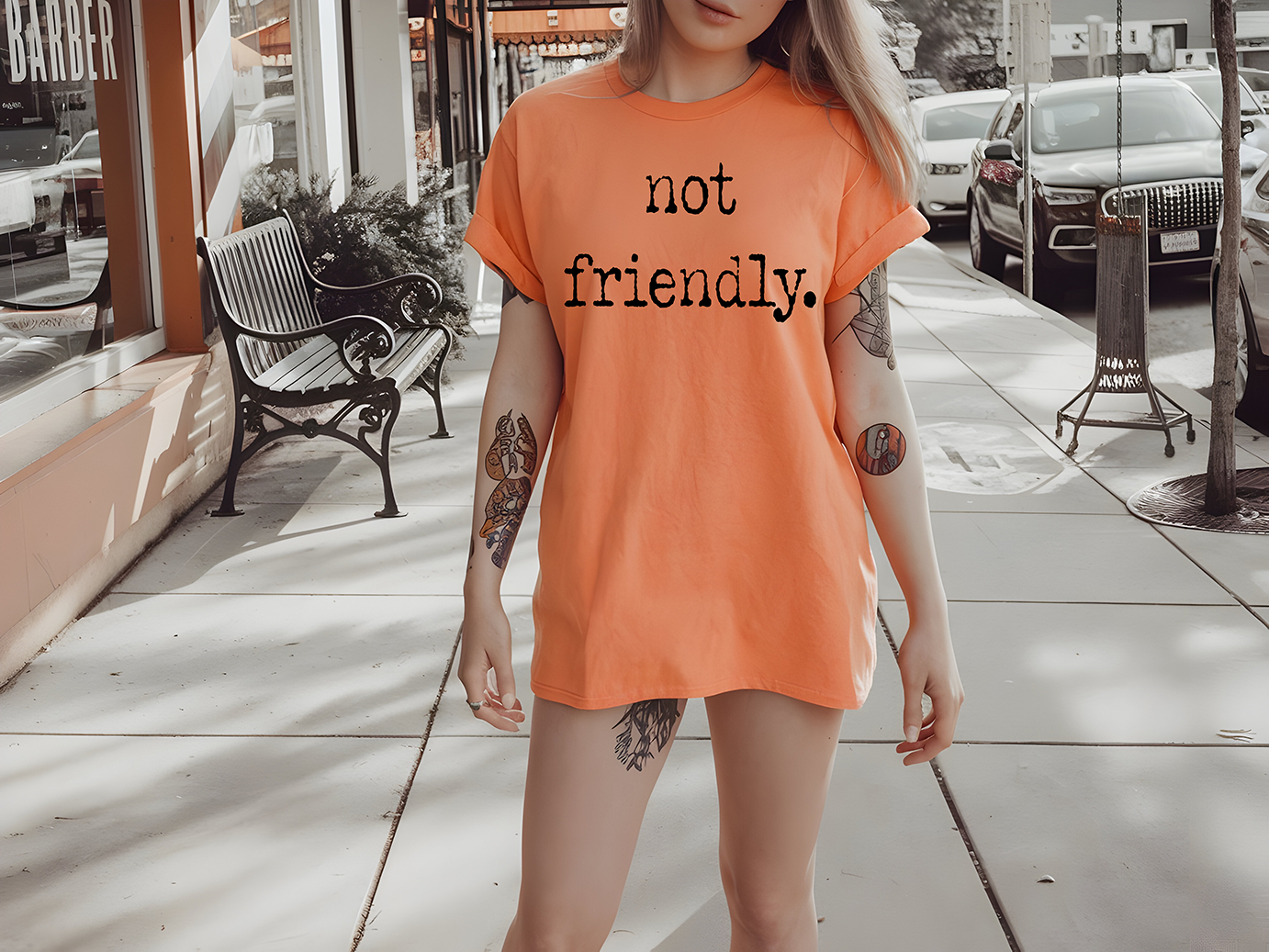 Not Friendly - DTF TRANSFER - PREORDER