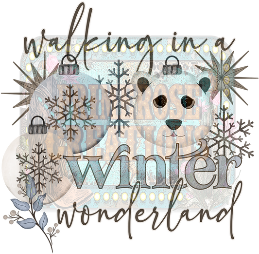 Winter Wonderland W/Sleeve