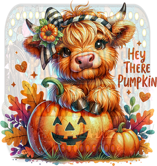 Hey There Pumpkin (youth)