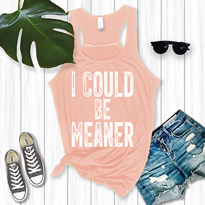 I Could Be Meaner - DTF TRANSFER