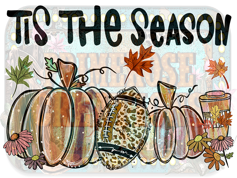 'tis the season watercolor pumpkin