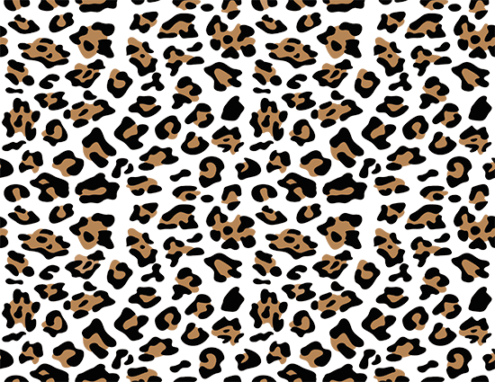 Leopard Sleeve Without Background DTF