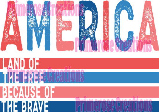 America Flag