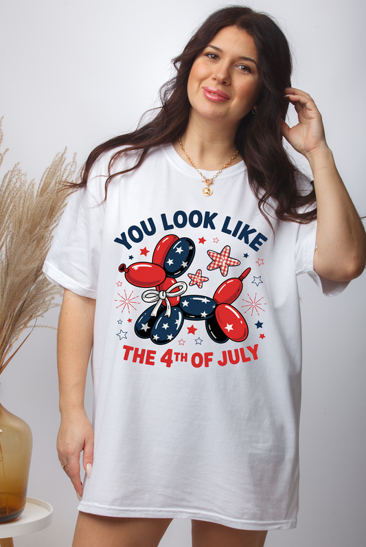 You Look Like Balloon Dog - DTF TRANSFER