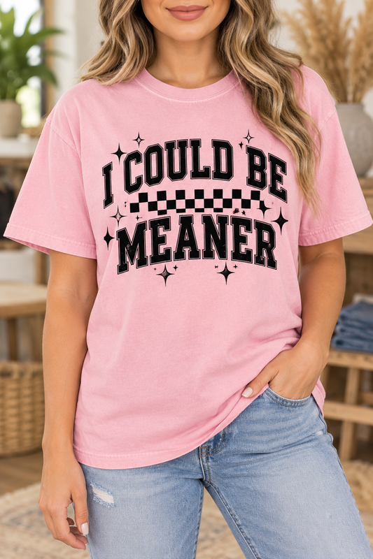 I Could Be Meaner- Black - Full Color DTF TRANSFER