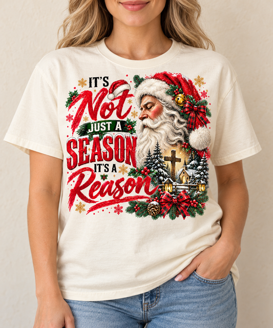 Its not just a season- Full Color DTF TRANSFER