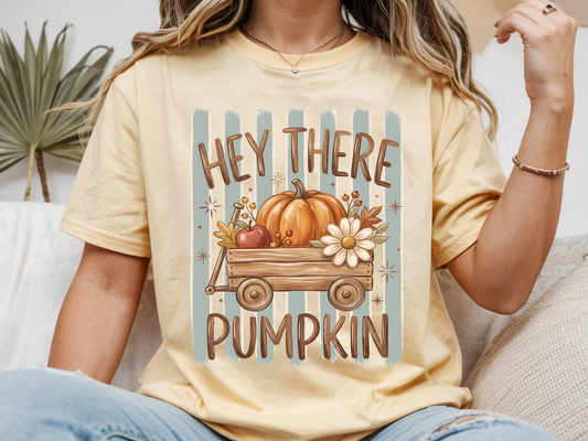 Hey There Pumpkin - Full Color - DTF Transfer - 2-5 Business Days