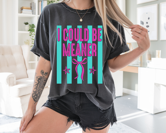 I Could Be Meaner - Full Color - DTF Transfer - WHOLESALE