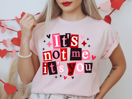 It's Not Me It's You-Full Color -DTF Transfer-2-5 Business Days