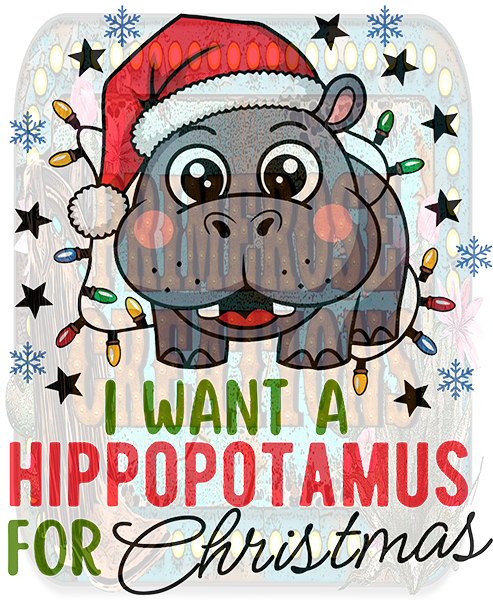 I want a hippo for Christmas (youth)