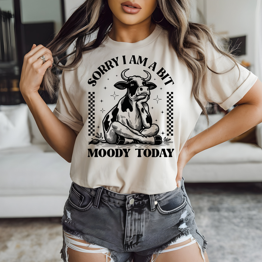 Moody Today - Full Color DTF TRANSFER - WHOLESALE