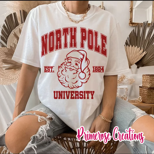 North Pole University Santa DTF