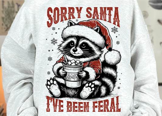 Sorry Santa Racoon-Full Color DTF Transfer - Friday New Releases-2-5 Business Days