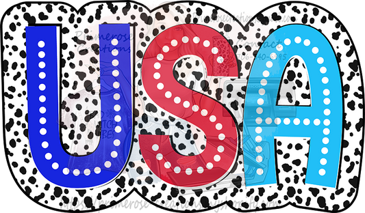 USA Dalmation