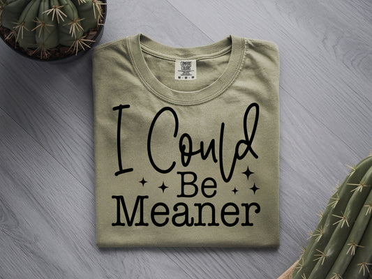 I Could Be Meaner - Full Color - DTF Transfer -  2-5 Business Days